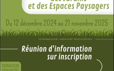 Formation Technicien des jardins et des espaces paysagers